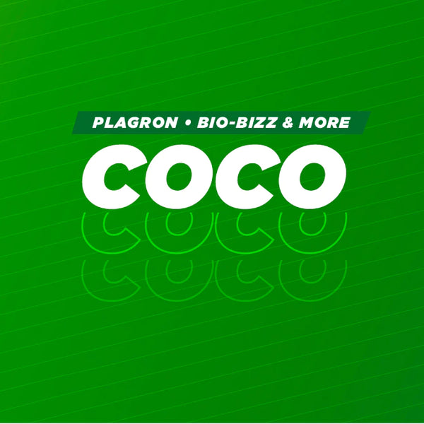 Coco