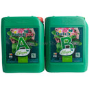 Dutch Pro - Original Bloom - Soil A&B HW