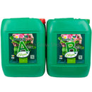 Dutch Pro - Original Bloom - Soil A&B HW
