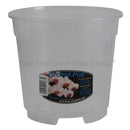 Clear, Round Plastic Orchid Pot (9cm - 21cm)