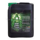 Buddhas Tree - Solar Green Power