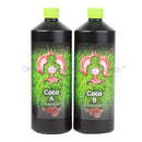 Buddhas Tree - Coco A&B