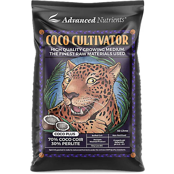 Coco