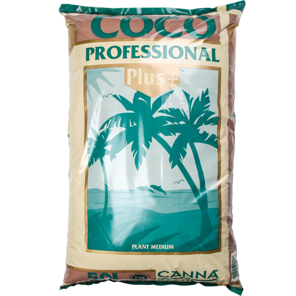 Coco