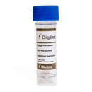 Diglyphus