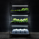 X-Stream Propagation Racking System