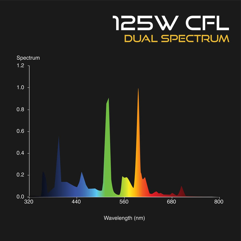 Omega Dual Spectrum Cfl