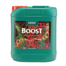 Canna Boost Accelerator
