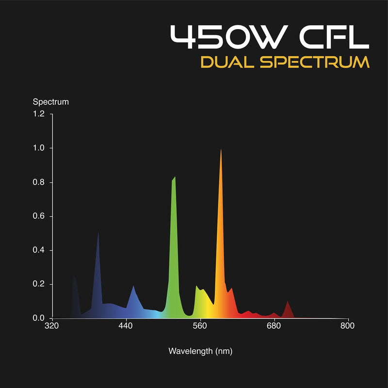 Omega Dual Spectrum Cfl