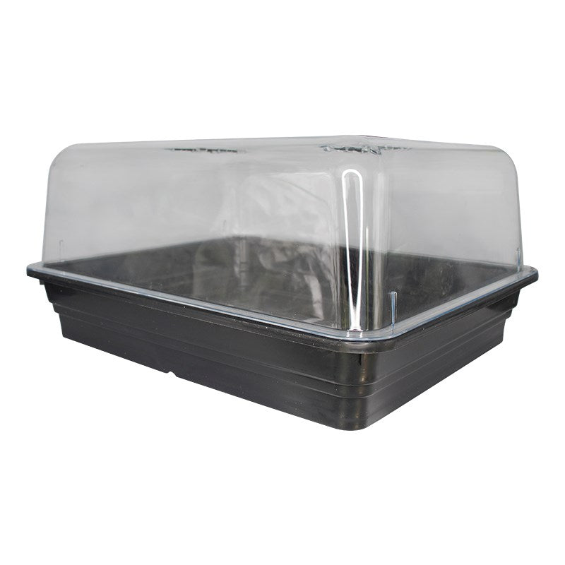Propagators