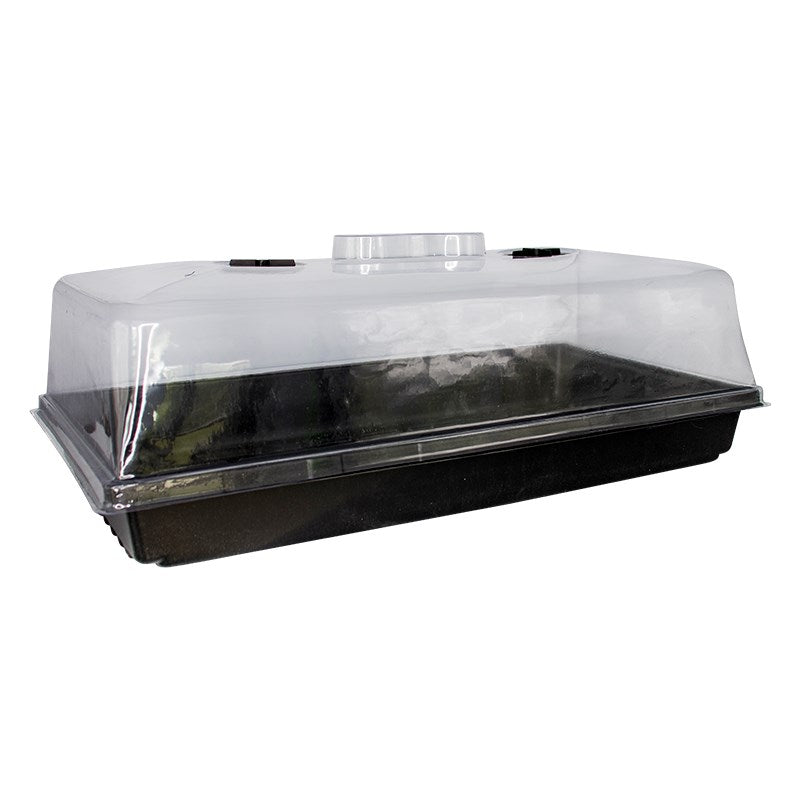 Propagators