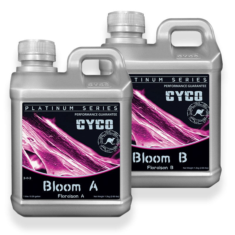 Cyco Bloom