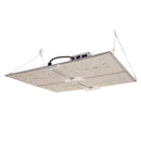 Omega Spectra G Line LED